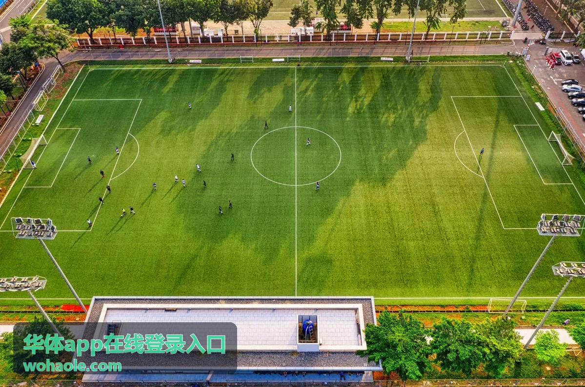 华体app在线登录入口安装包下载界面