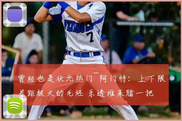 曾经也是状元热门~阿门特:上下限差距极大的毛坯 乐透谁来赌一把
