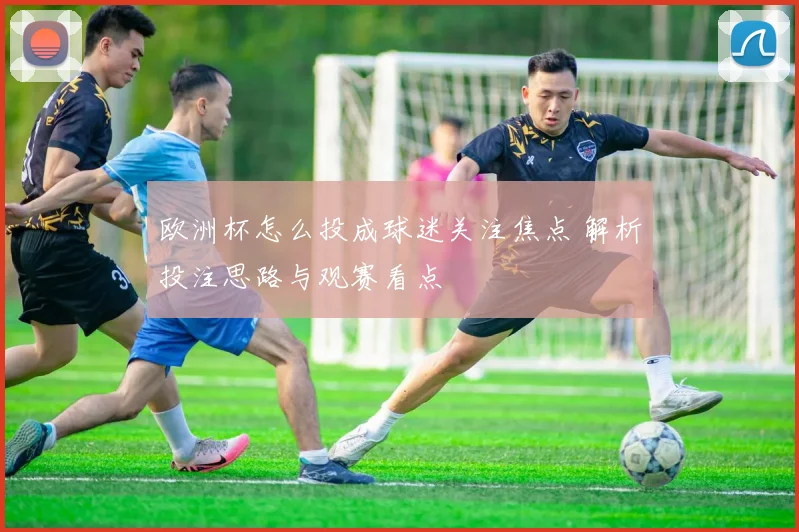 欧洲杯怎么投成球迷关注焦点 解析投注思路与观赛看点