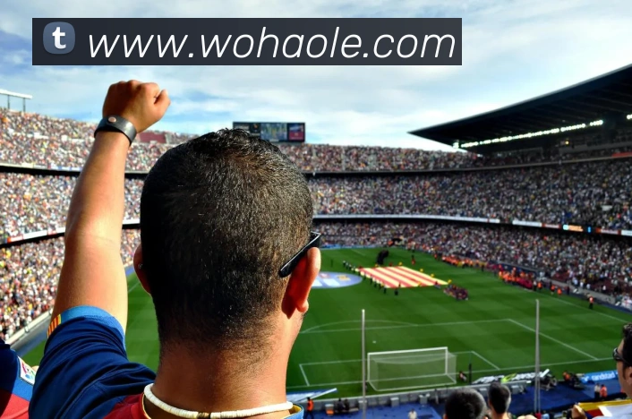 买球官方APP 高清赛事图